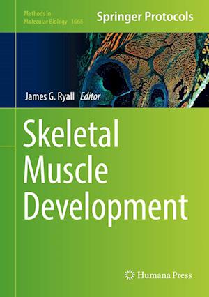Cover for Skeletal Muscle Development - Methods in Molecular Biology (Hardcover Book) [1st ed. 2017 edition] (2017)