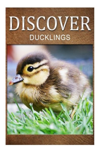 Cover for Discover Press · Ducklings - Discover: Early Reader's Wildlife Photography Book (Pocketbok) (2014)