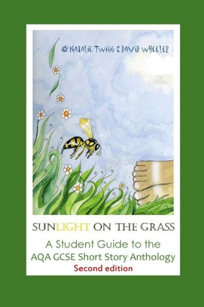 Cover for Natalie Twigg · 'sunlight on the Grass': a Student Guide to the Aqa Gcse Short Story Anthology: Large Print Edition (Paperback Book) (2015)