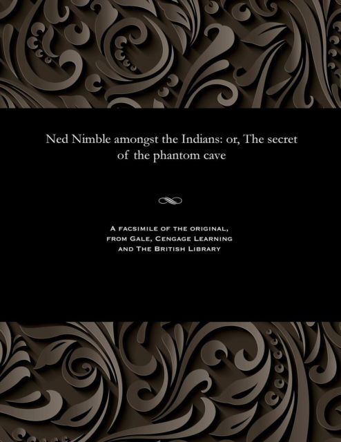 Cover for Ned Nimble Amongst the Indians (Paperback Book) (1901)