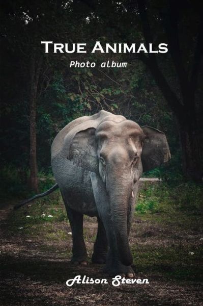 Cover for Alison Steven · True Animals (Paperback Bog) (2021)