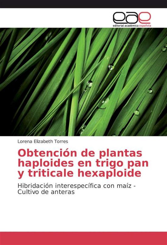 Cover for Torres · Obtención de plantas haploides e (Buch)