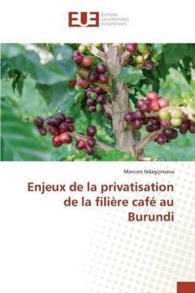 Cover for Ndagijimana · Enjeux de la privatisation (Book) (2018)