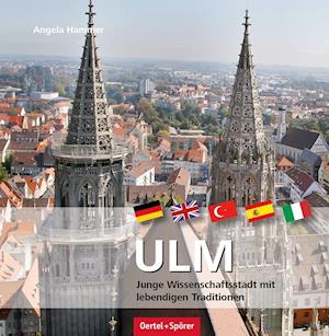 Cover for Angela Hammer · Ulm (Hardcover Book) (2015)