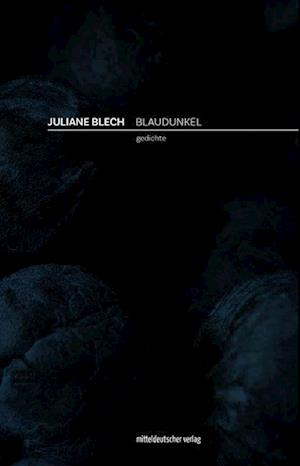 Blaudunkel - Juliane Blech - Livres - Mitteldeutscher Verlag - 9783963118821 - 18 mars 2024