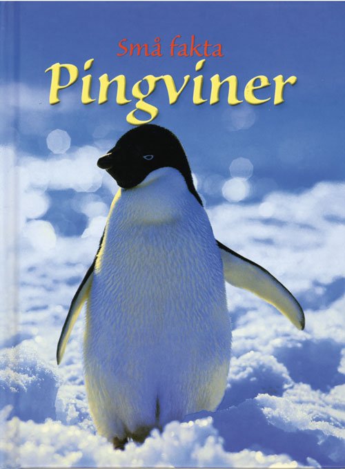 Cover for Emily Bone · Små fakta: Pingviner (Bound Book) [1º edição] [Indbundet] (2012)