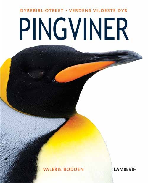 Cover for Valerie Bodden · Verdens vildeste dyr: Pingviner (Bound Book) [1.º edición] (2020)