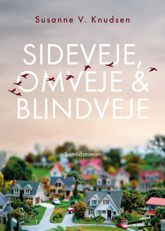 Cover for Susanne V. Knudsen · Sideveje, omveje &amp; blindveje (Sewn Spine Book) [1st edition] (2024)