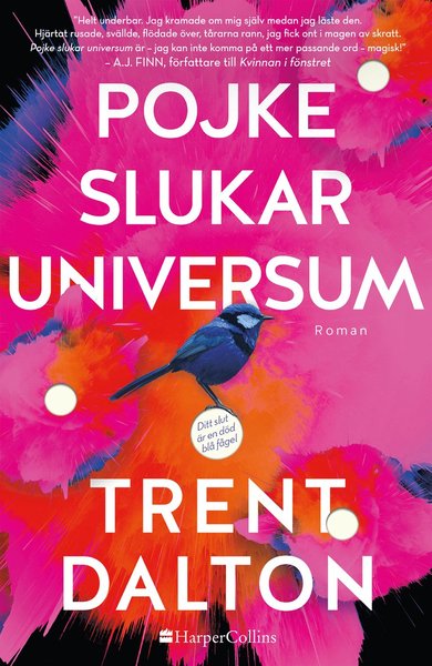 Cover for Trent Dalton · Pojke slukar universum (Gebundesens Buch) (2019)