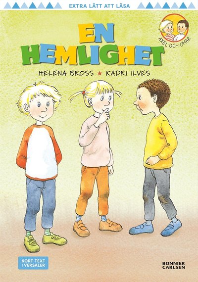 Cover for Helena Bross · En hemlighet (PDF) (2022)