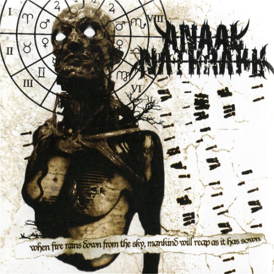 Cover for Anaal Nathrakh · When Fire Rains Down From The Sky. Mankind Will Reap As It Has Sown (CD) (2021)
