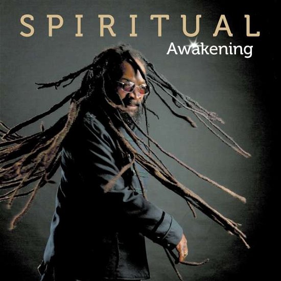 Awakening - Spiritual - Musikk - VP GREENSLEEVES - 0054645248822 - 2. februar 2017