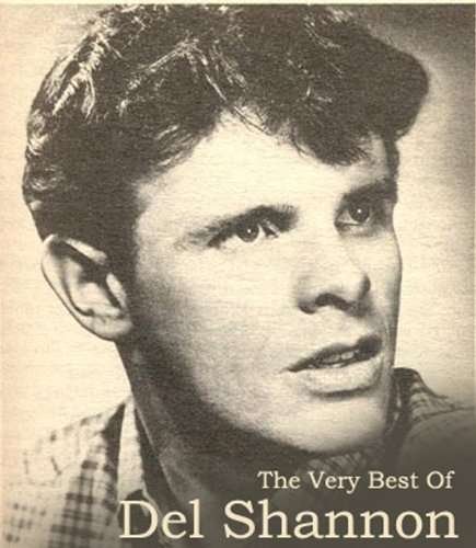 Cover for Del Shannon · Runaway: The Very Best Of Del Shannon (CD) (2010)