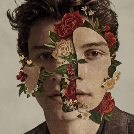 Shawn Mendes (Limited Edition Box Set) - Shawn Mendes - Música - POP - 0602567550822 - 25 de maio de 2018