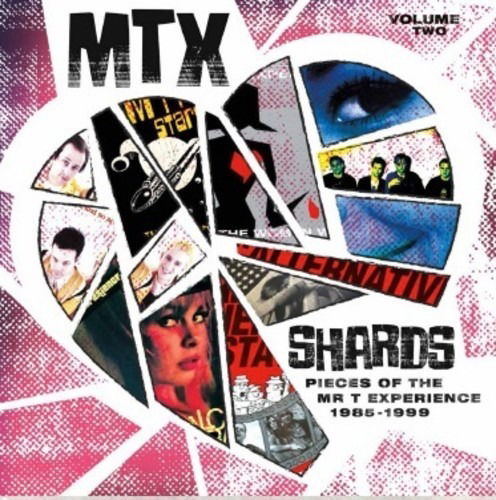 Shards Vol.2 - Mr. T Experience - Musikk - SOUNDS RAD - 0615435640822 - 28. august 2018