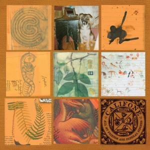 Cover for Califone · All My Friends Are Funeral Singers (CD) (2009)