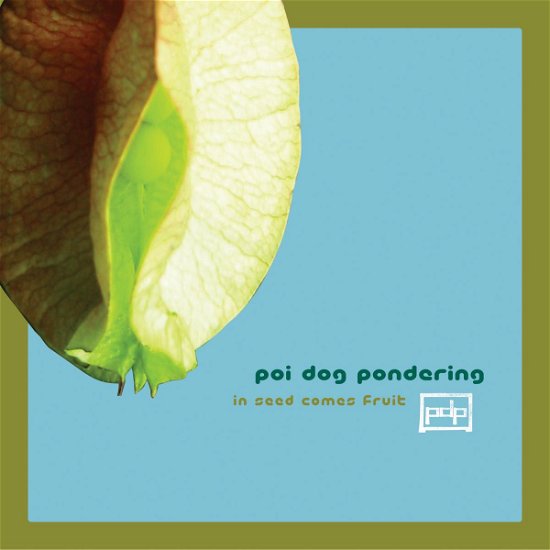 Cover for Poi Dog Pondering · In Seed Comes Fruit (CD) (2008)