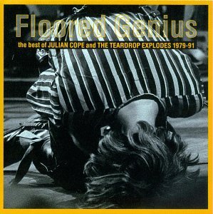 Cover for Julian Cope · Floored Genius The Best Of (CD) (2006)