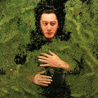 Cover for Alain Bashung · Fantaisie militaire (CD) (2016)