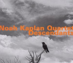 Cover for Noah Kaplan / Joe Morris / Giacomo Merega / Jason Nazary / Nazary Jason · Descendants (CD) (2017)