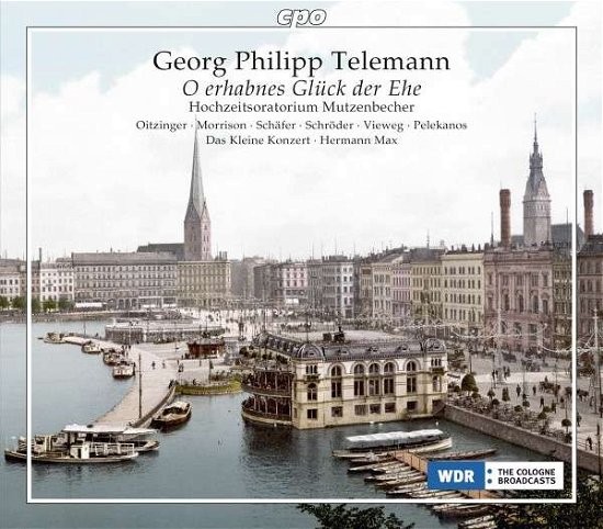 Telemann / Morrison / Das Kleine Konzert / Max · Oratorio Serenata (CD) (2013)