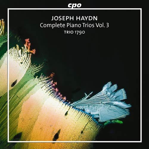 Cover for J. Haydn · Piano Trios Vol.3 (CD) (2001)