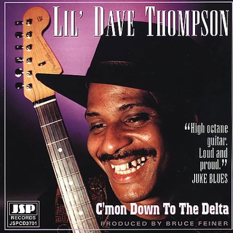 C'mon Down to the Delta - Lil Dave Thompson - Musikk - JSP - 0788065882822 - 13. juli 2010