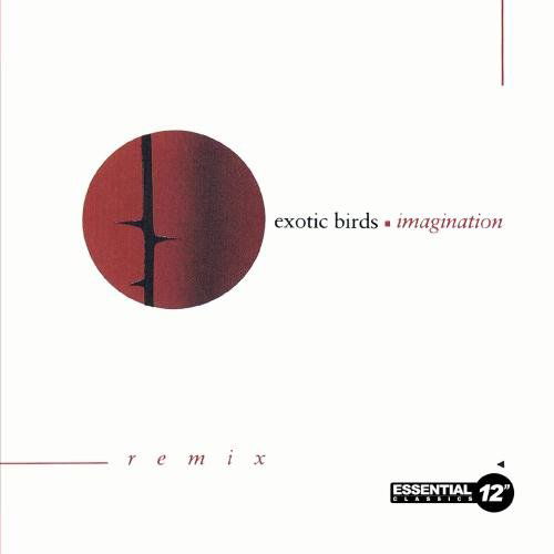 Cover for Exotic Birds · Imagination-Exotic Birds (CD) [EP edition] (2013)