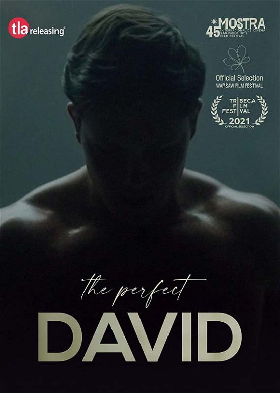 Cover for The Perfect David (DVD) (2022)
