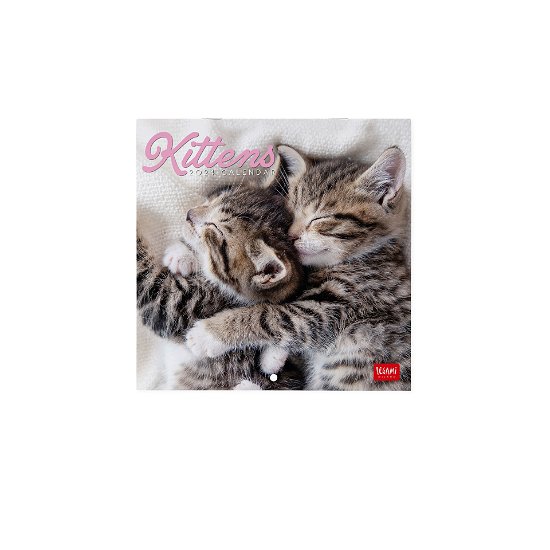 Cover for Legami · Wall Calendars - 2024 Wall Calendar - Kittens - 18x18 - Cats (Taschenbuch) (2023)