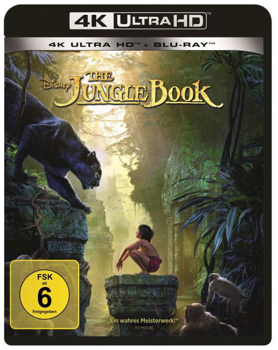 The Jungle Book (Live Action) Uhd Blu-ray - V/A - Movies -  - 8717418556822 - January 16, 2020