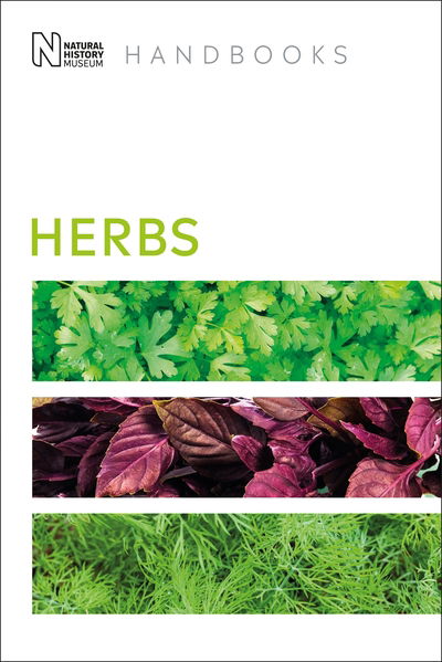 Lesley Bremness · Herbs - DK Handbooks (Paperback Book) (2025)