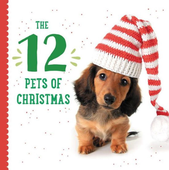 Cover for Taylor Garland · The Twelve Pets of Christmas (Hardcover Book) (2018)