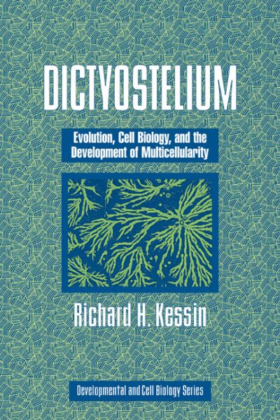 Cover for Kessin, Richard H. (Columbia University, New York) · Dictyostelium: Evolution, Cell Biology, and the Development of Multicellularity - Developmental and Cell Biology Series (Pocketbok) (2010)