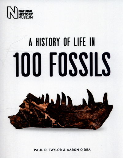 Cover for Paul D. Taylor · A History of Life in 100 Fossils (Paperback Book) [New edition] (2015)