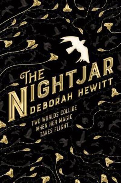 Cover for Deborah Hewitt · The Nightjar - The Nightjar Duology (Paperback Book) (2019)