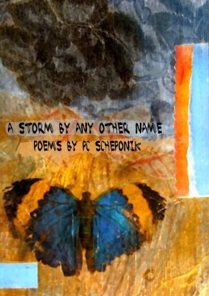 Cover for Pc Scheponik · Storm by Any Other Name (Book) (2011)