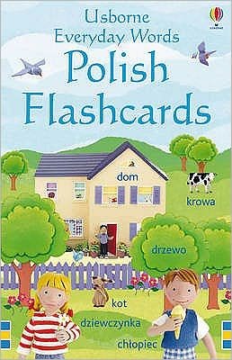 Cover for Felicity Brooks · Everyday Words in Polish Flashcards - Everyday Words Flashcards (Flashcards) (2009)