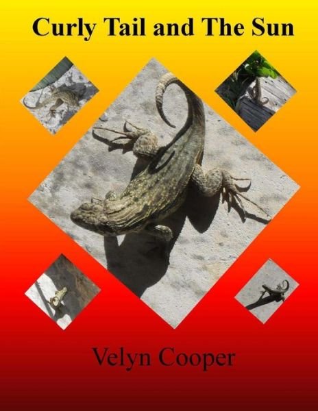 Cover for Velyn Cooper · Curly Tail and the Sun (Paperback Book) (2013)