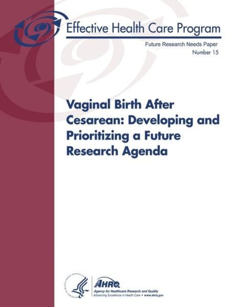 Cover for U S Department of Healt Human Services · Vaginal Birth After Cesarean: Developing and Prioritizing a Future Research Agenda: Future Research Needs Paper Number 15 (Taschenbuch) (2014)