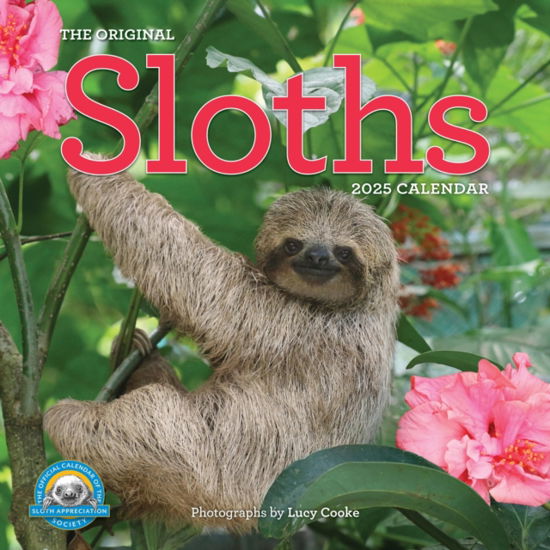 Original Sloths Wall Calendar 2025: The Ultimate Experts at Slowing Down - Lucy Cooke - Gadżety - Workman Publishing - 9781523524822 - 8 sierpnia 2024