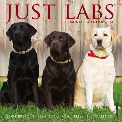 Cover for Willow Creek Press · Just Labs 2024 7 X 7 Mini Wall Calendar (Kalender) (2023)