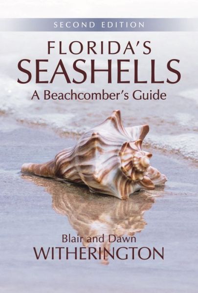 Cover for Blair Witherington · Florida's Seashells: A Beachcomber's Guide (Paperback Book) [Second edition] (2017)