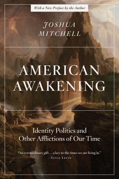 Cover for Joshua Mitchell · American Awakening: Identity Politics and Other Afflictions of Our Time (Paperback Book) (2023)