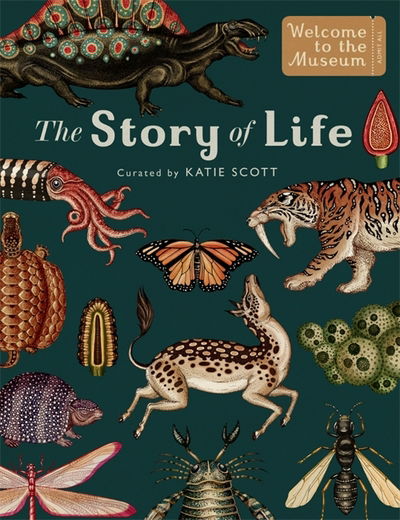 Cover for Ruth Symons · The Story of Life: Evolution (Extended Edition) - Welcome To The Museum (Gebundenes Buch) [Extended edition] (2017)