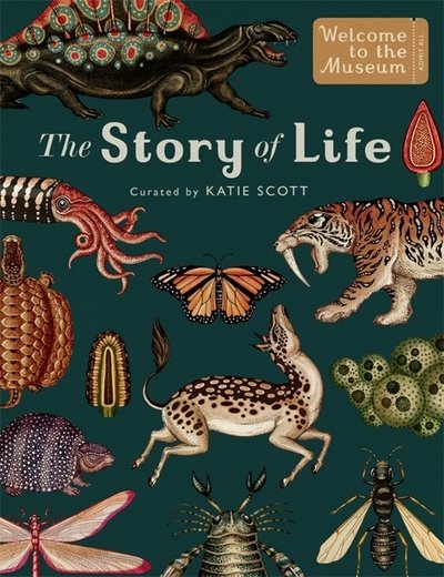 Cover for Ruth Symons · The Story of Life: Evolution (Extended Edition) - Welcome To The Museum (Hardcover bog) [Extended edition] (2017)