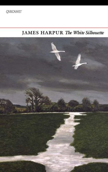 Cover for James Harpur · The White Silhouette (Pocketbok) (2018)