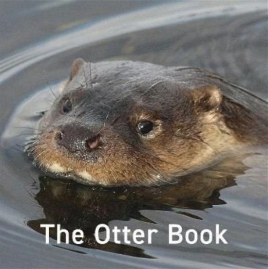 Cover for Jo Byrne · The Otter Book (Hardcover Book) (2022)