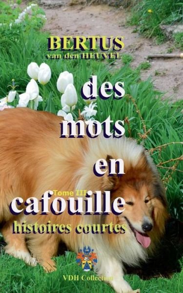 Cover for Bertus Van den Heuvel · Des Mots en Cafouille III (Paperback Book) [French edition] (2013)