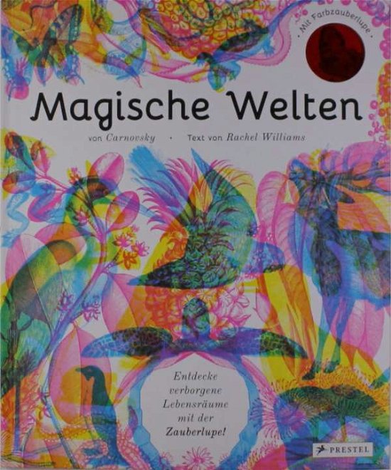 Cover for Williams · Magische Welten. Entdecke verb (Book)